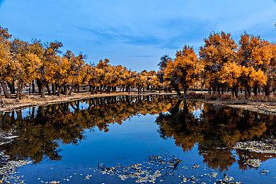 《使命召唤18：先锋》及《战区》太平洋战场CG预告 11月5日发售